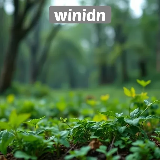 Keamanan dan Privasi di Situs Game Winidn